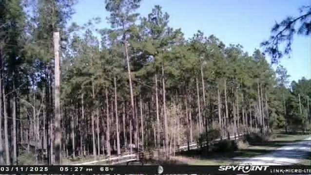 000 Richardson Road E, Livingston, TX 77351 - Image #1