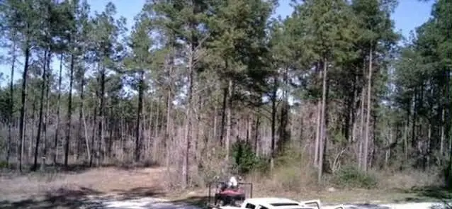 000 Richardson Road E, Livingston, TX 77351 - Image #2