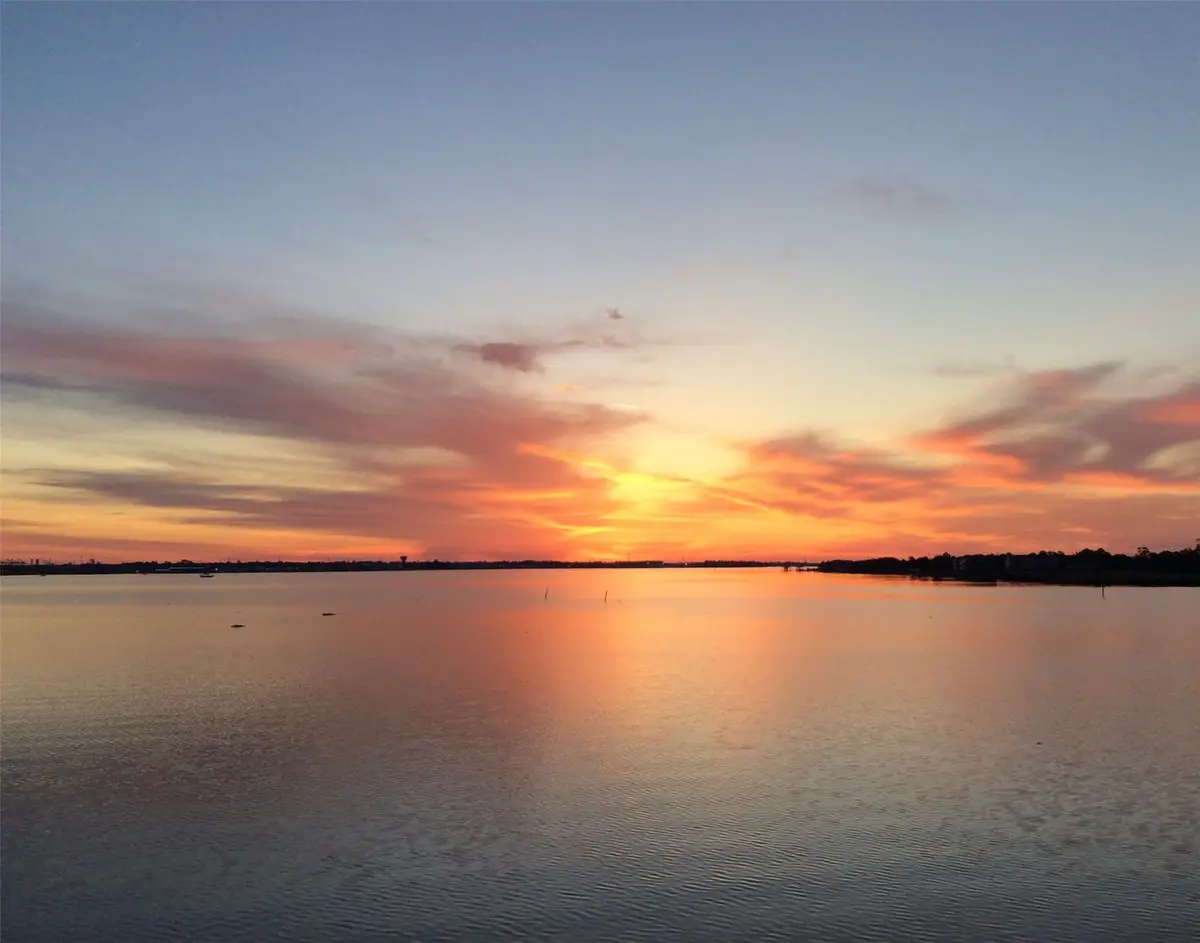 401 Lakeside Lane #203, Houston, TX 77058 - #1