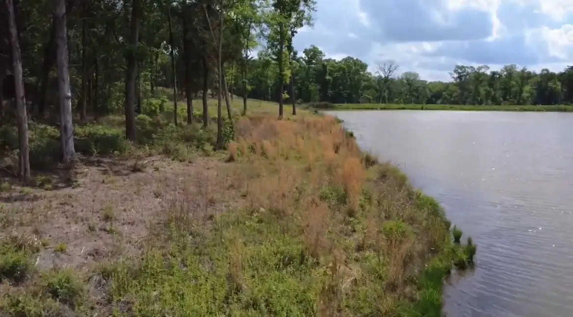 Lot 9 County Road 494, Jewett, TX 75846 - #1