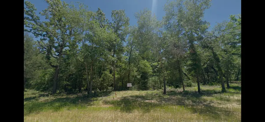 Lot 9 County Road 494, Jewett, TX 75846 - #2