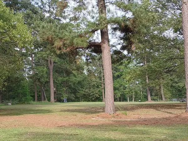 0 County Road 232, Richards, TX 77873