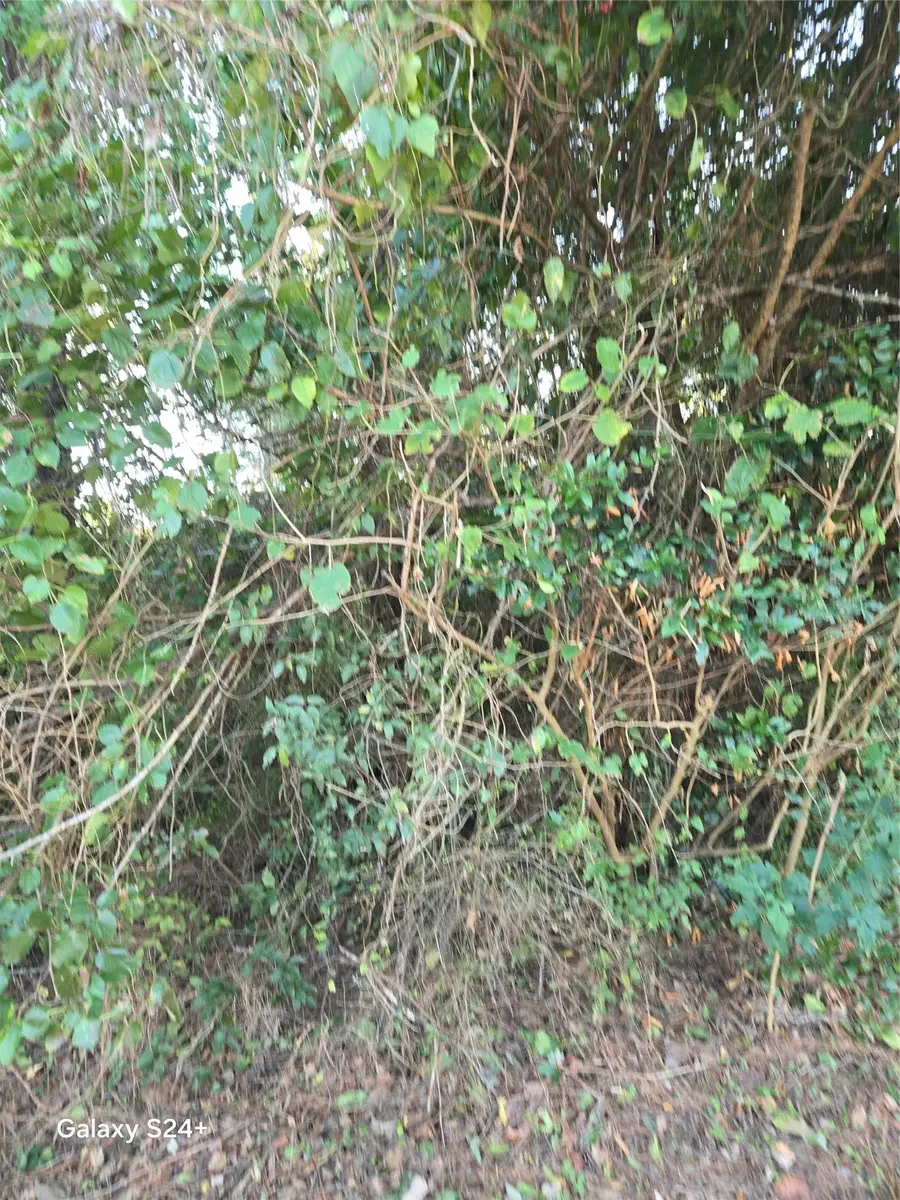 0 County Road 232, Richards, TX 77873 - Image #2