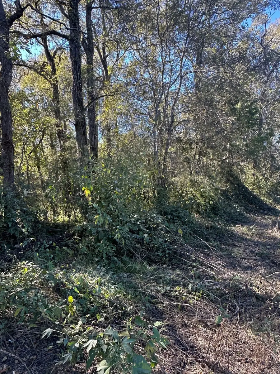 00 Oak Forest Drive, Guy, TX 77444 - Image #3