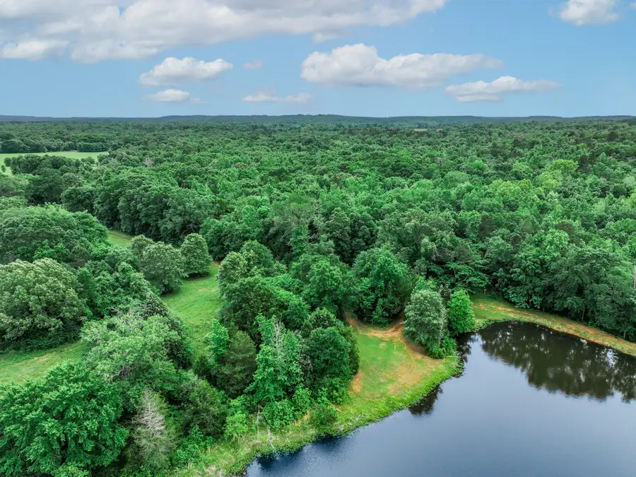 3732 Us Highway 84, Palestine, TX 75801 - #2