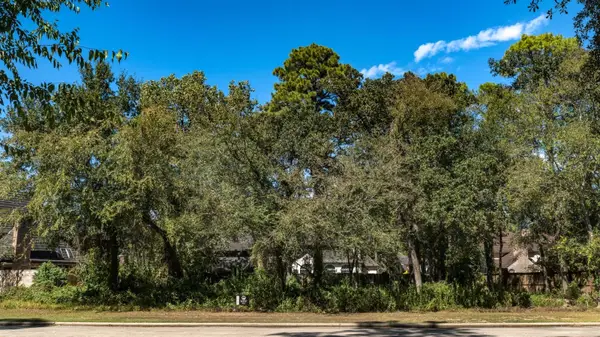 3006 Cedar Woods Place, Houston, TX 77068