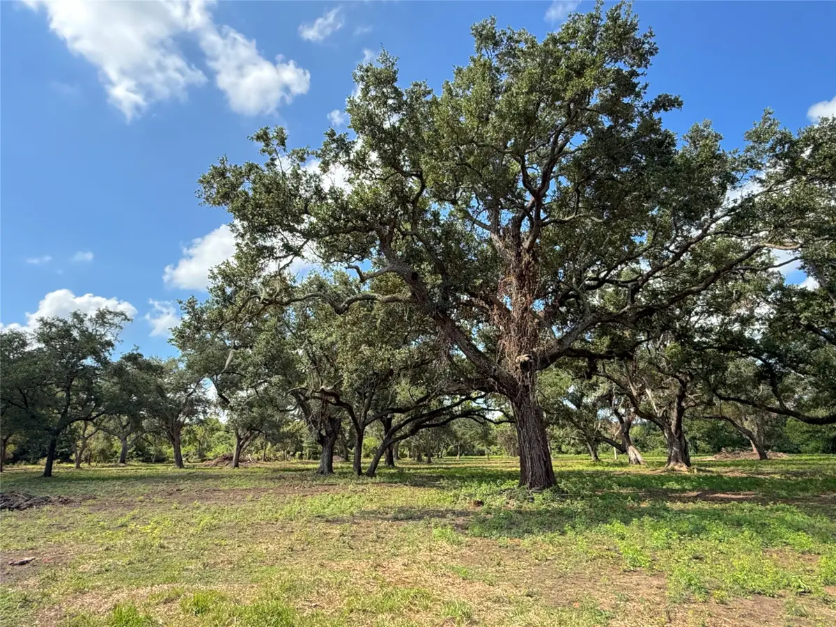 Lot 2 S F Austin, Freeport, TX 77541 - #1