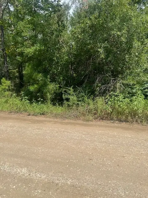 Lot 4 Klein Drive, Livingston, TX 77351 - Image #1