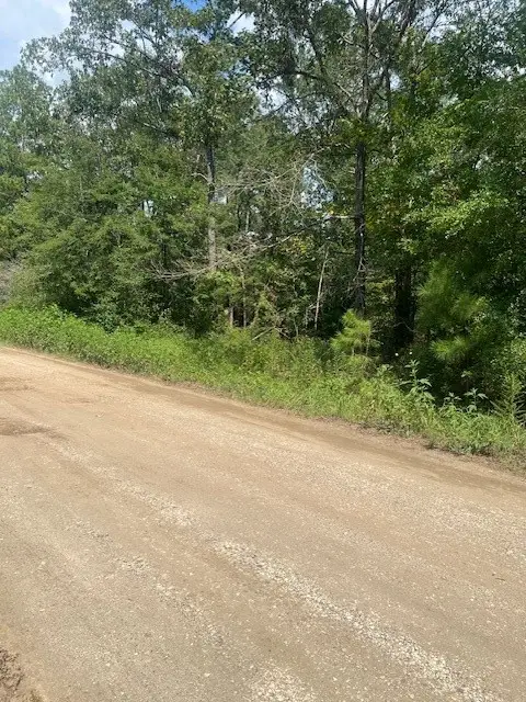 Lot 4 Klein Drive, Livingston, TX 77351 - Image #3