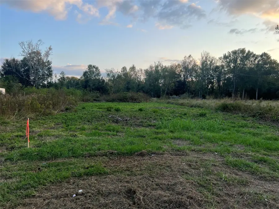 TBD Farm To Market 1960, Dayton, TX 77535 - Image #2