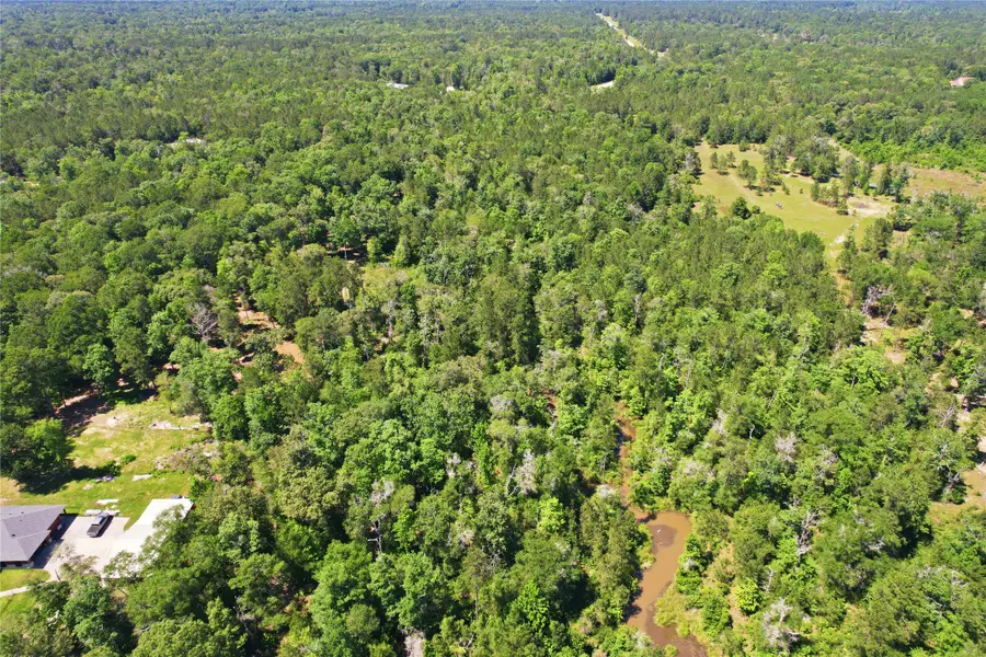 21275 Big Buck Drive, Cleveland, TX 77328 - #3