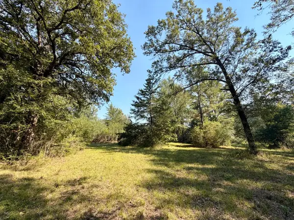 5 ac Fm 542, Oakwood, TX 75855