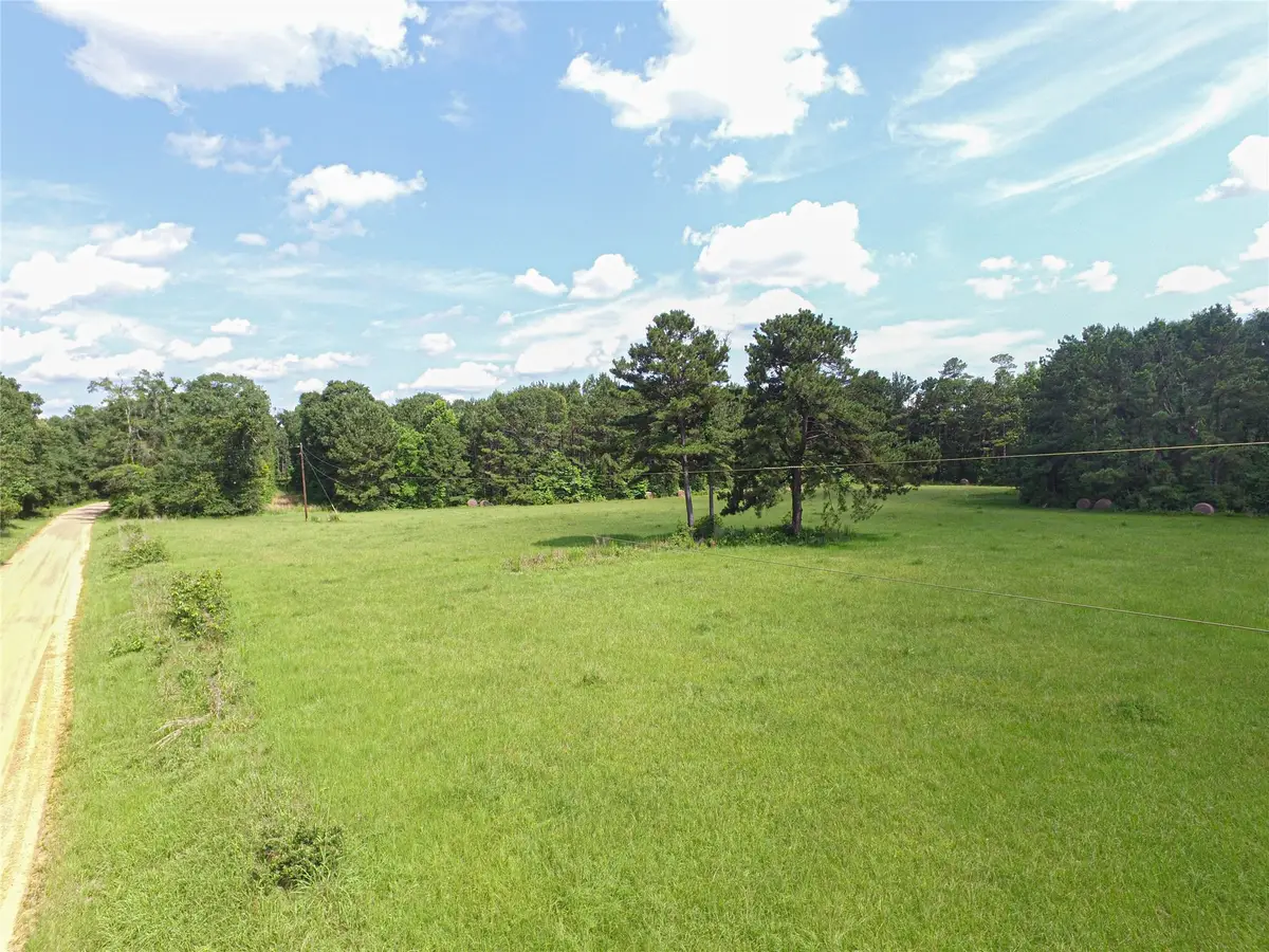 3524 Holly Grove Road, Livingston, TX 77351 - #1