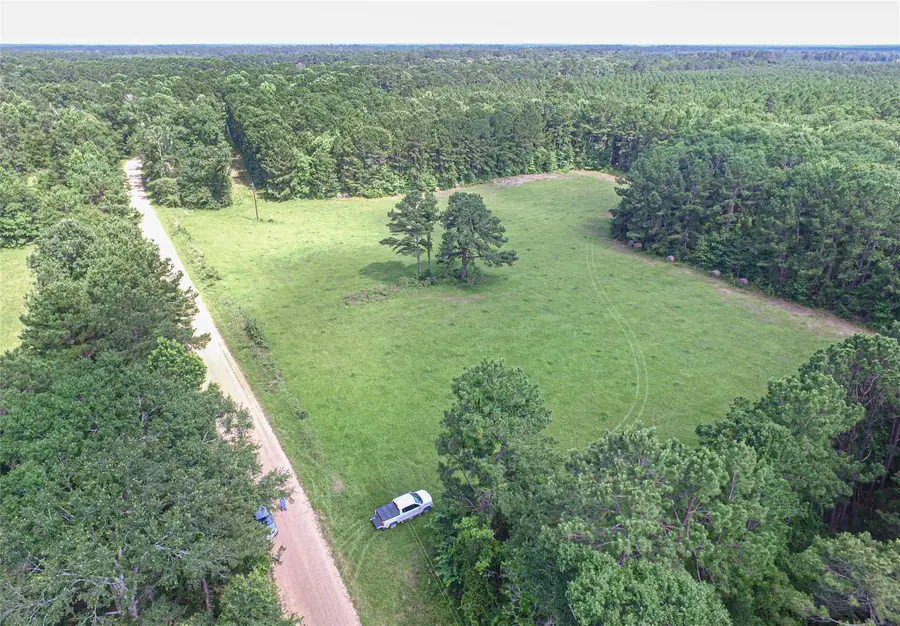 3524 Holly Grove Road, Livingston, TX 77351 - #2
