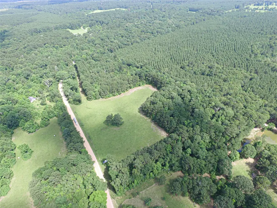 3524 Holly Grove Road, Livingston, TX 77351 - #3