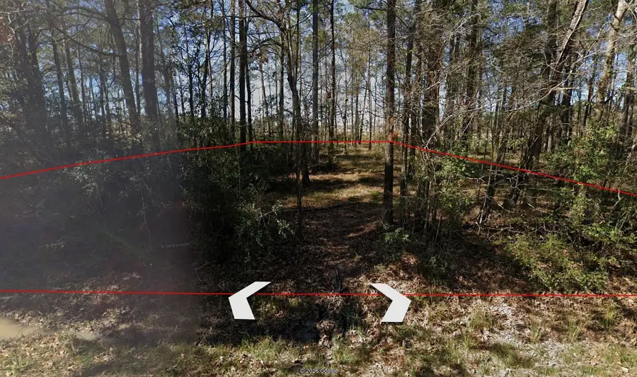 0000 Dogwood Lane, Houston, TX 77339 - #3