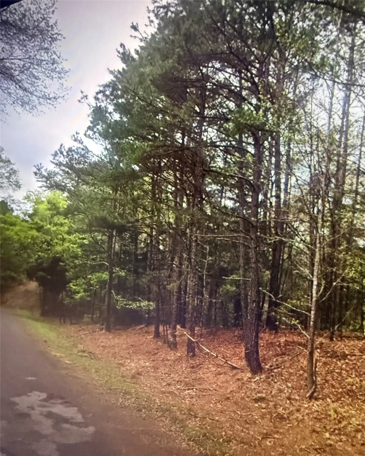 0 County Road 375, Palestine, TX 75801 - #1