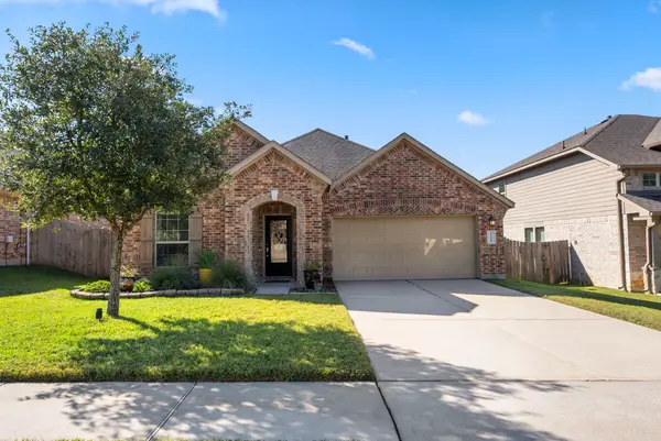 12298 Little Blue Heron Lane, Conroe, TX 77304