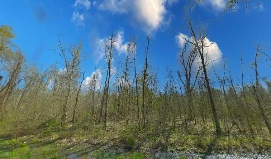 TBD County Road 2522, Dayton, TX 77535 - #2