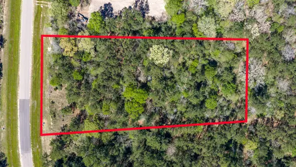 15824 Wood Grove Way, Willis, TX 77378