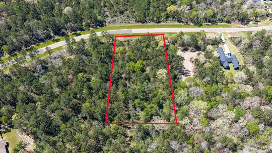 15824 Wood Grove Way, Willis, TX 77378 - #3