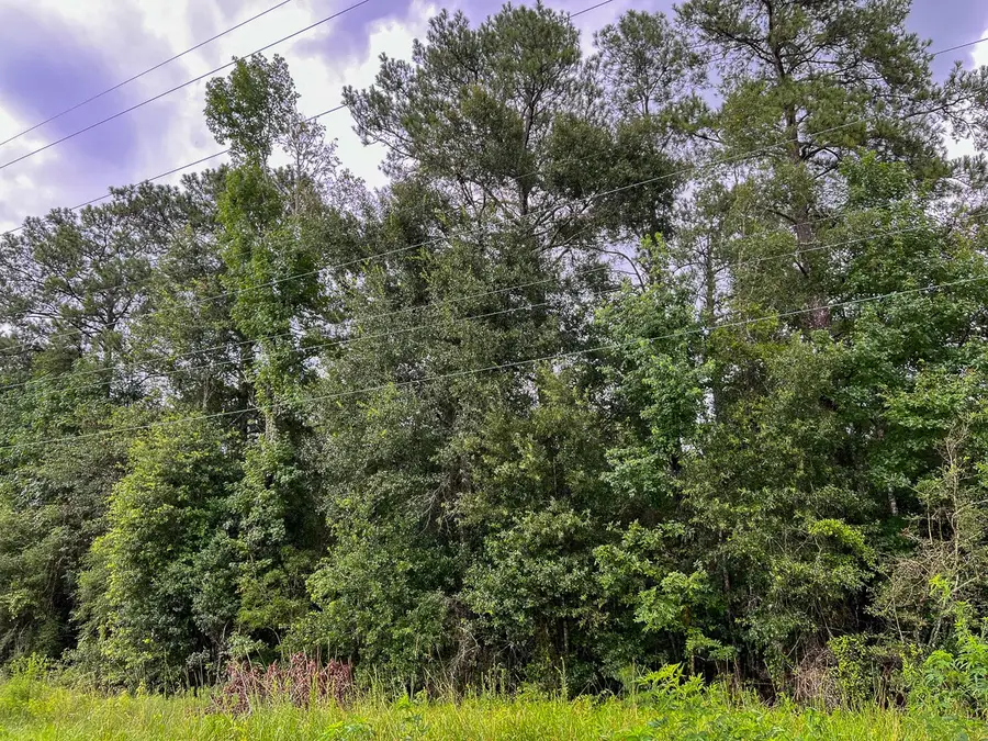 06 Fm 770, Liberty Dayton, TX 77575 - #3