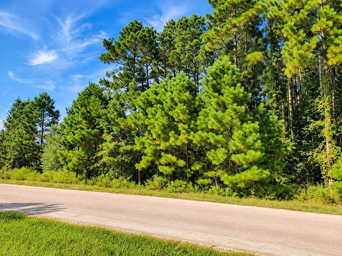 1307 County Road 3479j, Cleveland, TX 77327 - #1