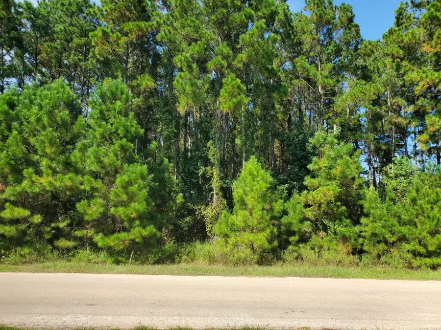 1307 County Road 3479j, Cleveland, TX 77327 - #2