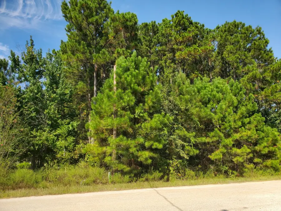 1307 County Road 3479j, Cleveland, TX 77327 - #3
