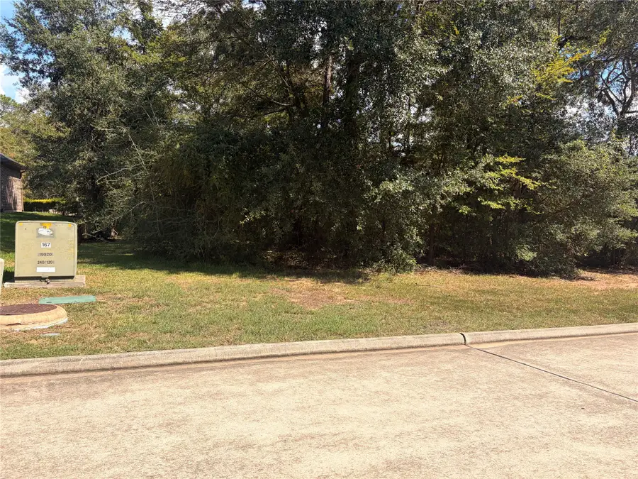 313 Pine Brook Drive, Montgomery, TX 77356 - #3