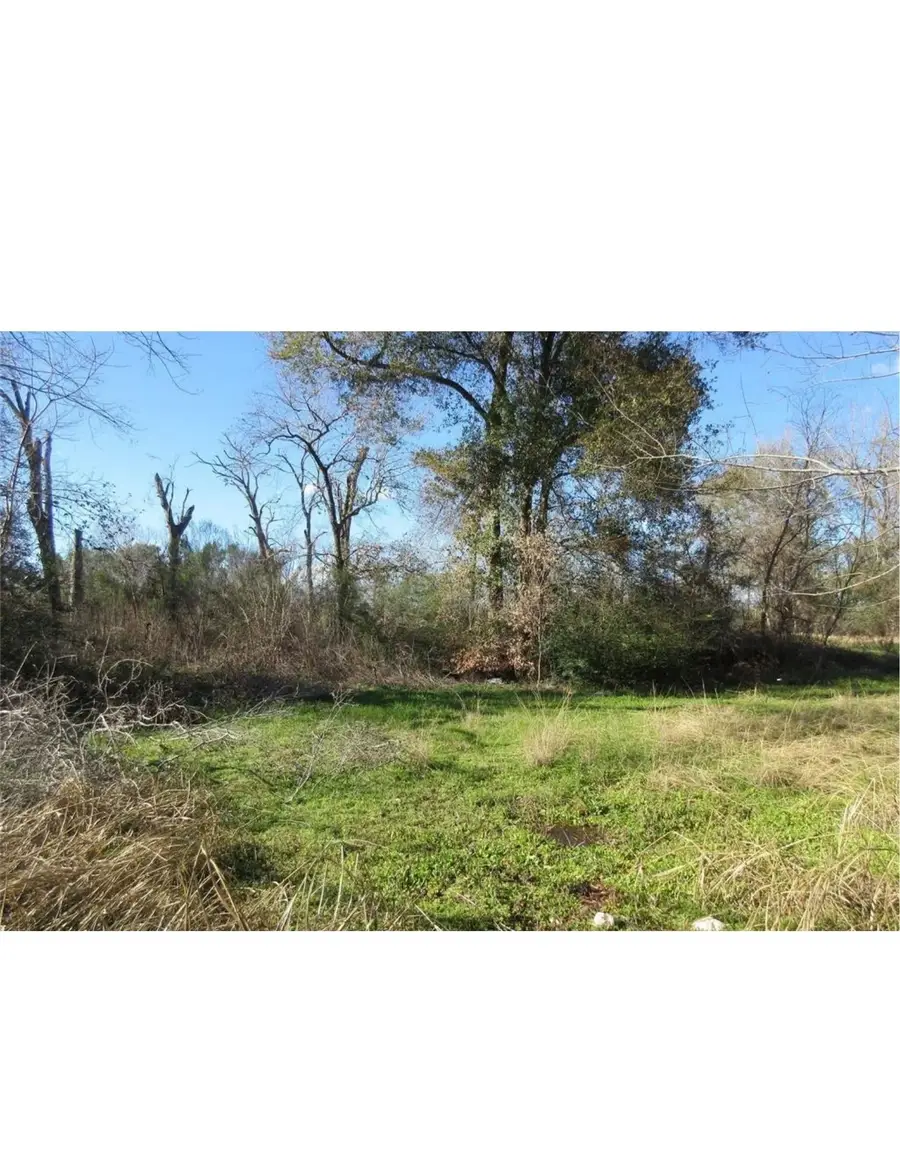 0 Greenhouse Road, Houston, TX 77084 - #3