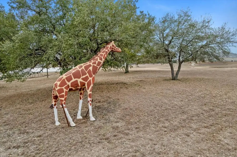 6116 E State Highway 71, La Grange, TX 78945 - #3