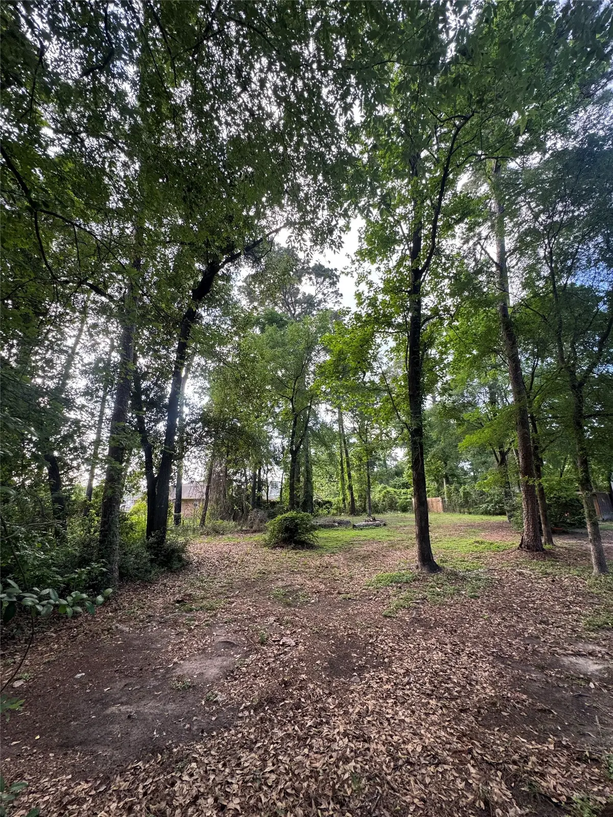 0 Sagewood Dr Drive, Spring, TX 77386 - #1