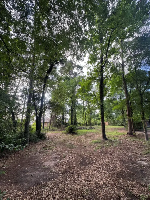 0 Sagewood Dr Drive, Spring, TX 77386