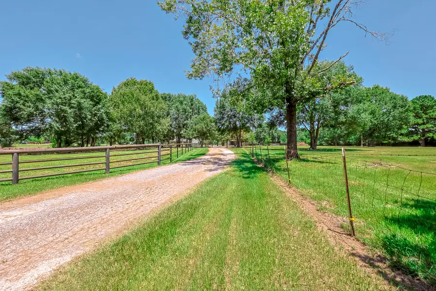 1066 Tafelski Road, New Waverly, TX 77358 - #3