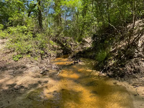2954 Cr 2170, Grapeland, TX 75844