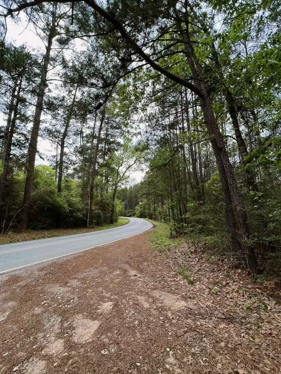 15689 Aspen Dr Drive, Montgomery, TX 77356 - #2