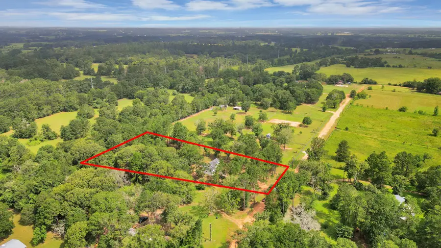 12964 Kowis Lane, Plantersville, TX 77363 - #3