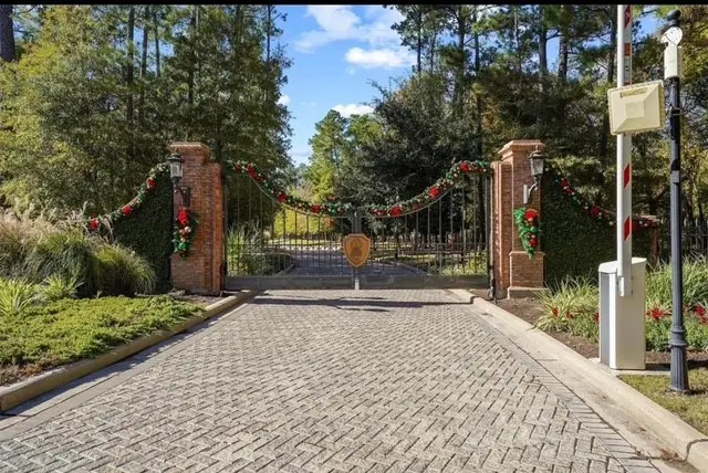 208 Eminence Isle, Montgomery, TX 77316 - Image #3