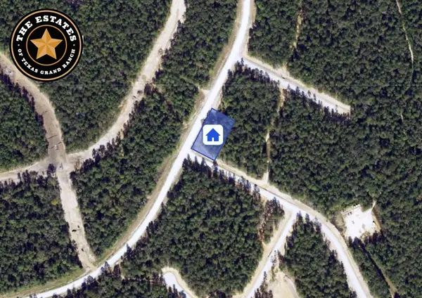 105 Bunkhouse Road, New Waverly, TX 77340