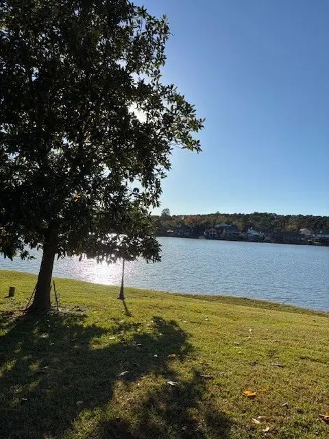 24 Lakeview Manor, Huntsville, TX 77340 - Image #3