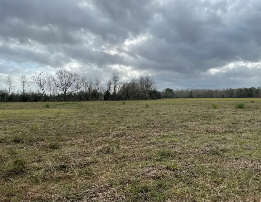 000 County Road 2367, Liberty, TX 77575 - Image #3