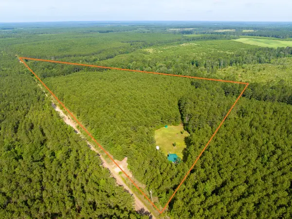 1 S Caney Road, Groveton, TX 75845