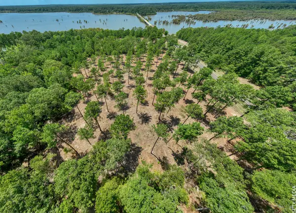 013 Fm 83, Broaddus, TX 75929