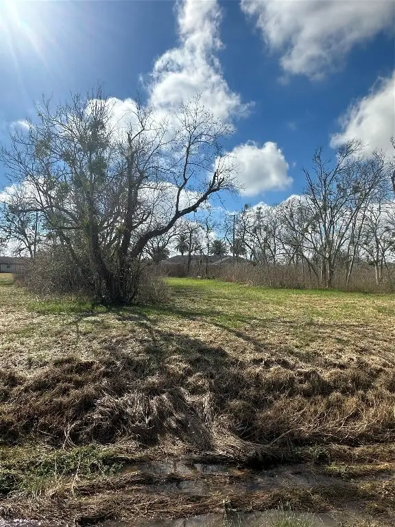 00 S Avenue H, Freeport, TX 77541 - #2