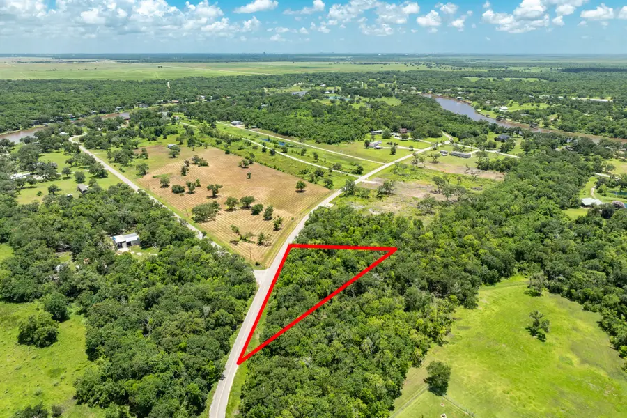 Lot 1 County Road 819, Brazoria, TX 77422 - #2