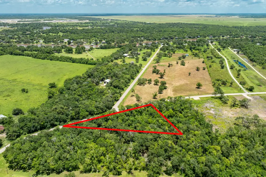 Lot 1 County Road 819, Brazoria, TX 77422 - #3
