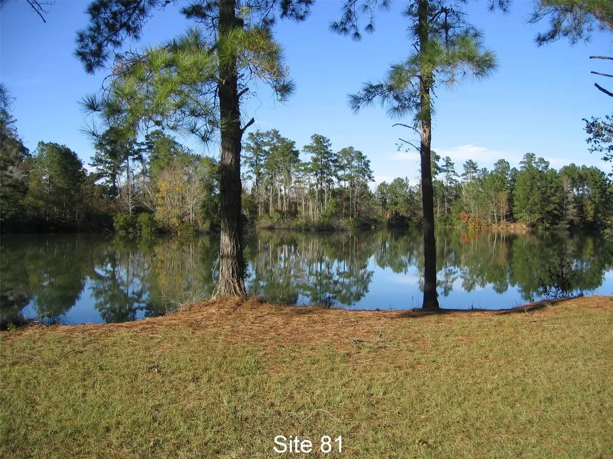 81 Pine Meadow, Cleveland, TX 77327 - Image #1