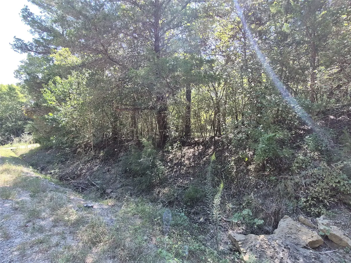TBD Cedar Hilltop Dr, Coldspring, TX 77331 - #1