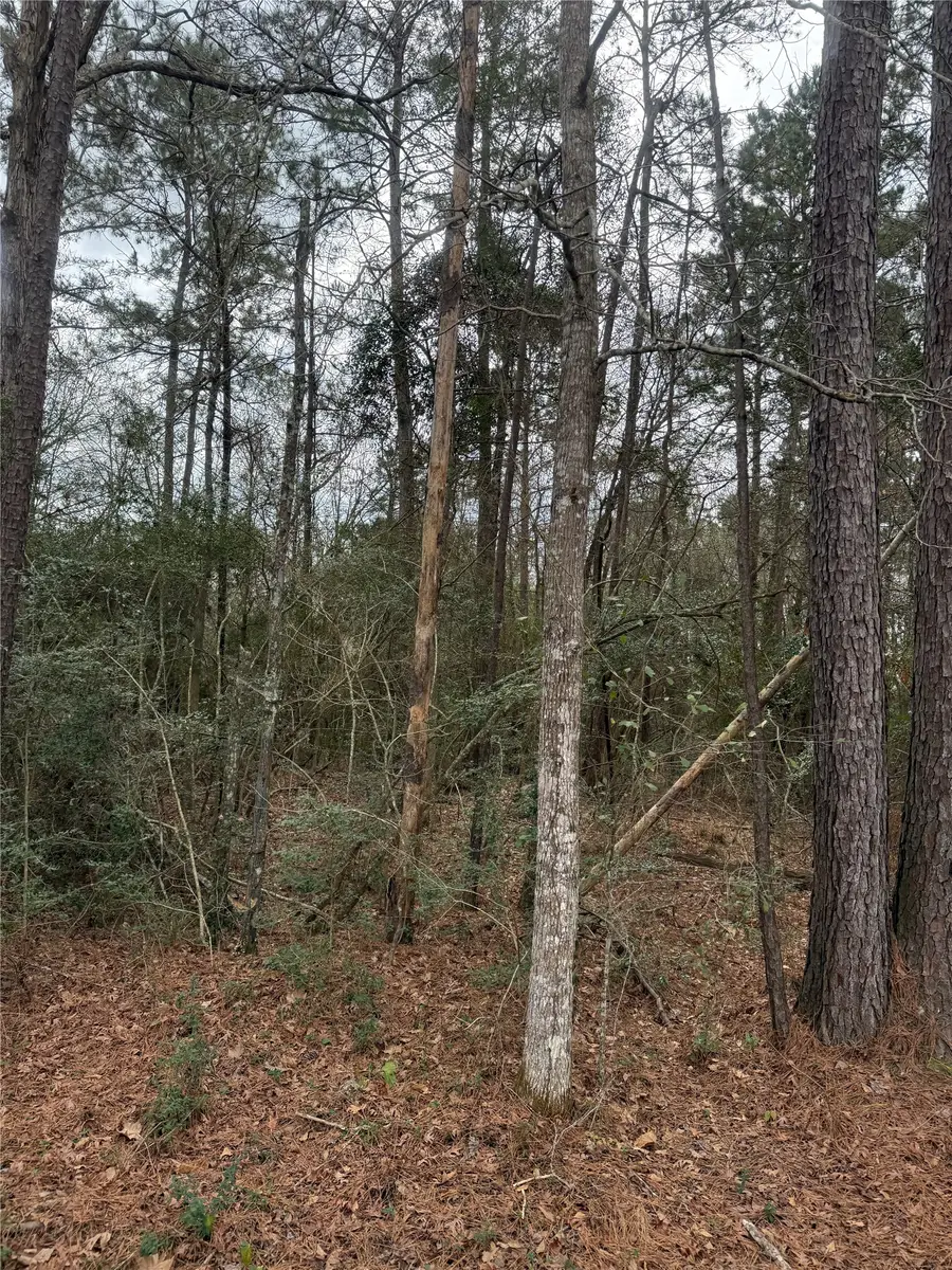 TBD Whippoorwill Lane, Point Blank, TX 77364 - #3